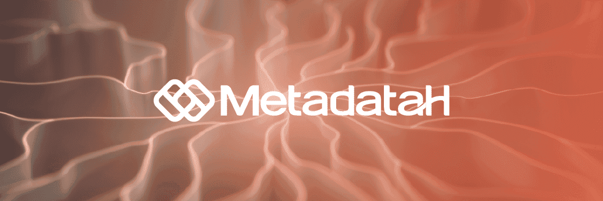 metadatah simplificando a ia para empresas