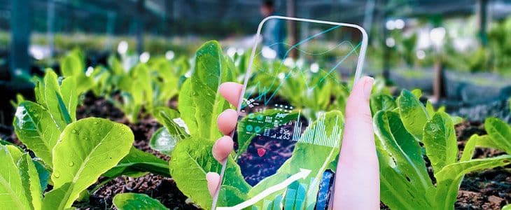 tecnologia na agricultura dados que transformam o